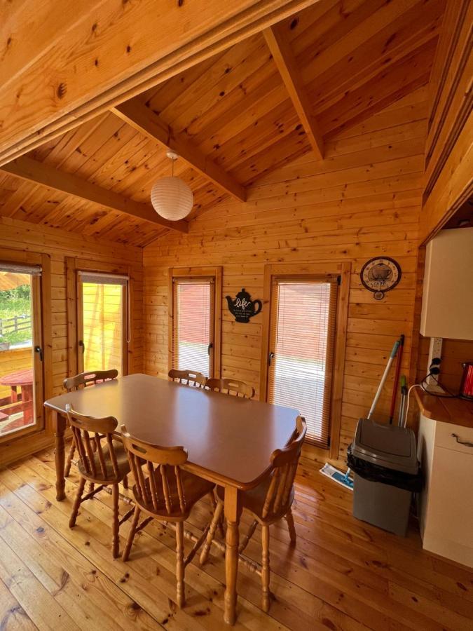 Red Robin Nest Apartman Galway Kültér fotó