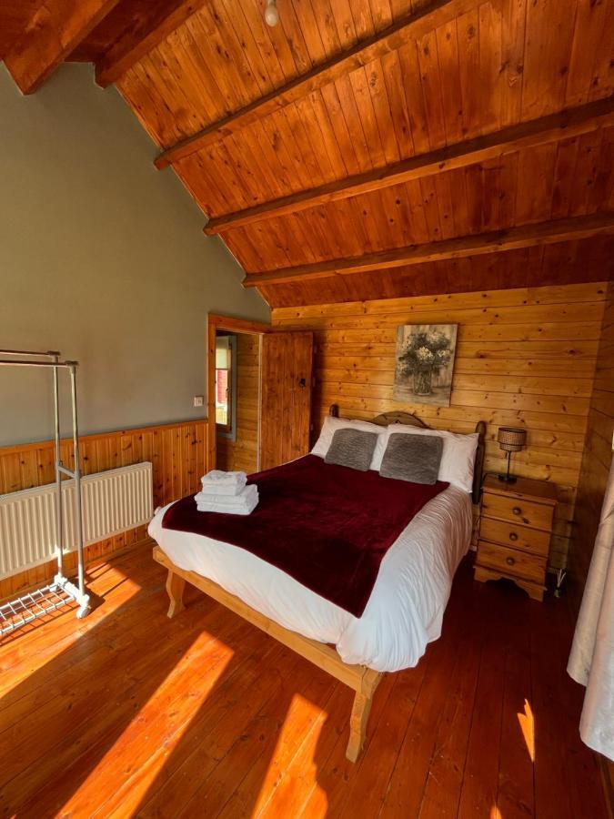 Red Robin Nest Apartman Galway Kültér fotó