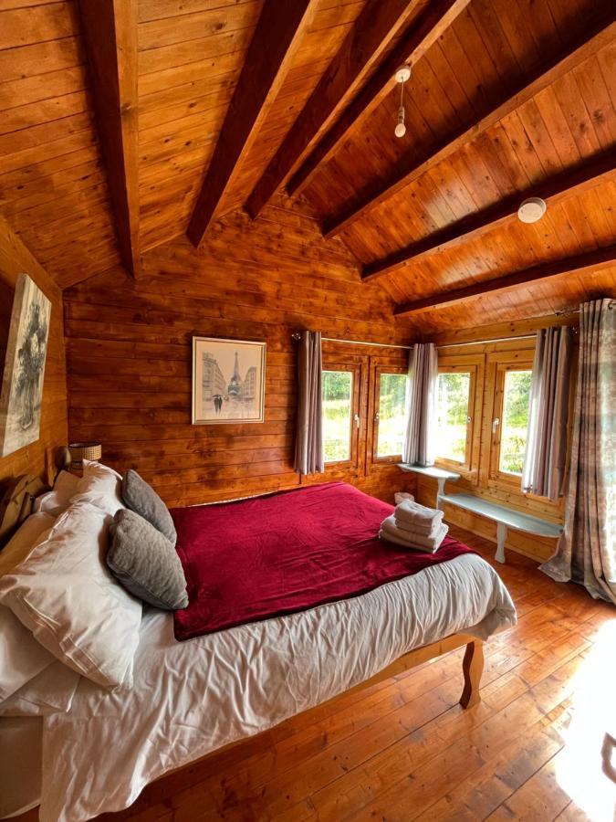 Red Robin Nest Apartman Galway Kültér fotó